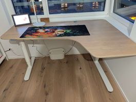 IKEA höhenverstellbarer Schreibtisch /Height Adjustable Desk