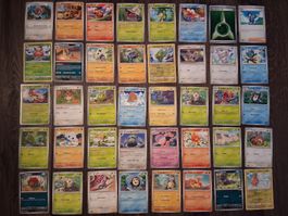 Pokémon TCG Kartenset II, Deutsch
