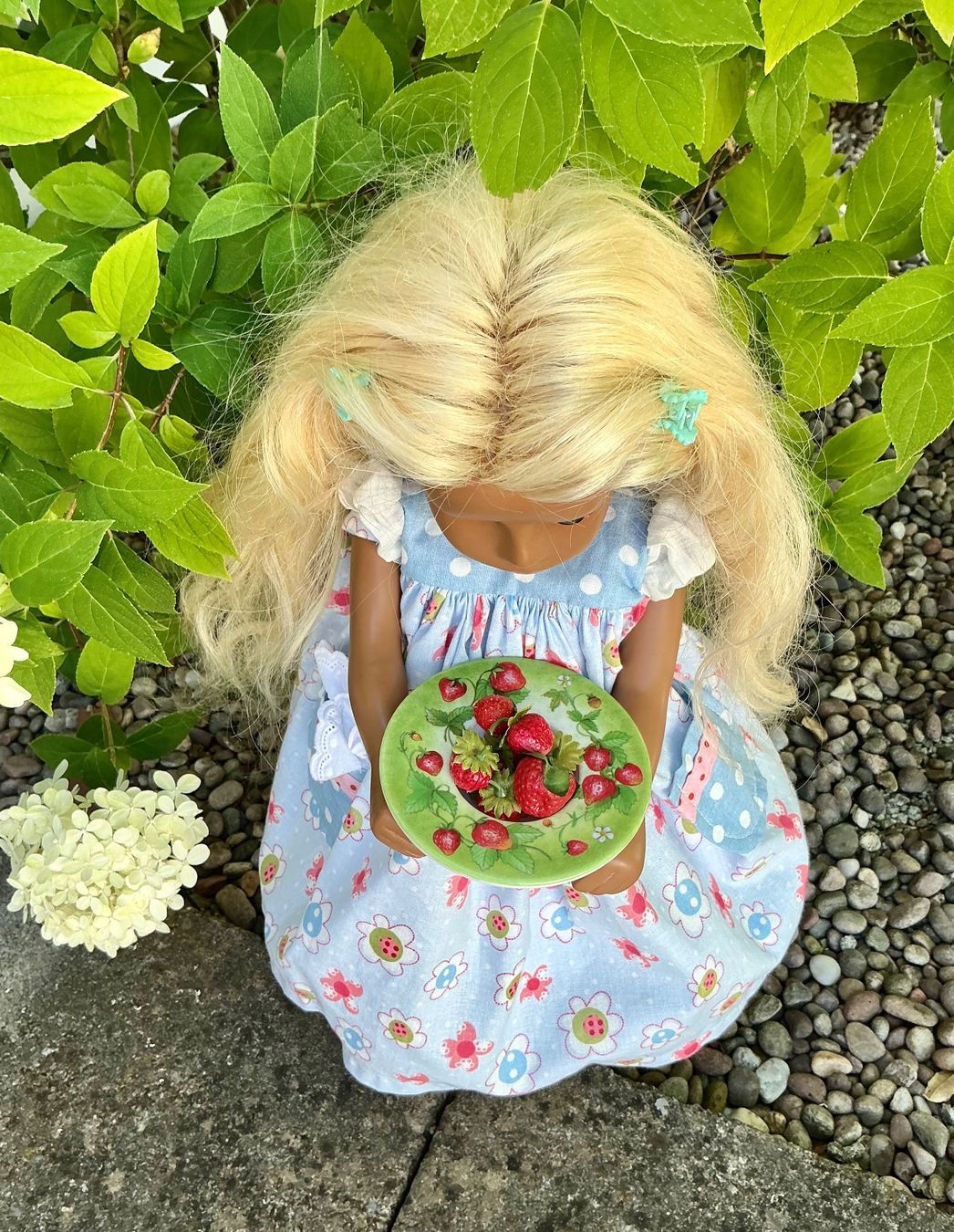 Giocattoli: TELLERCHEN MIT SÜSSEN KLEINEN ERDBEEREN – Usato da Zell LU venduto da Silvermemory 6
