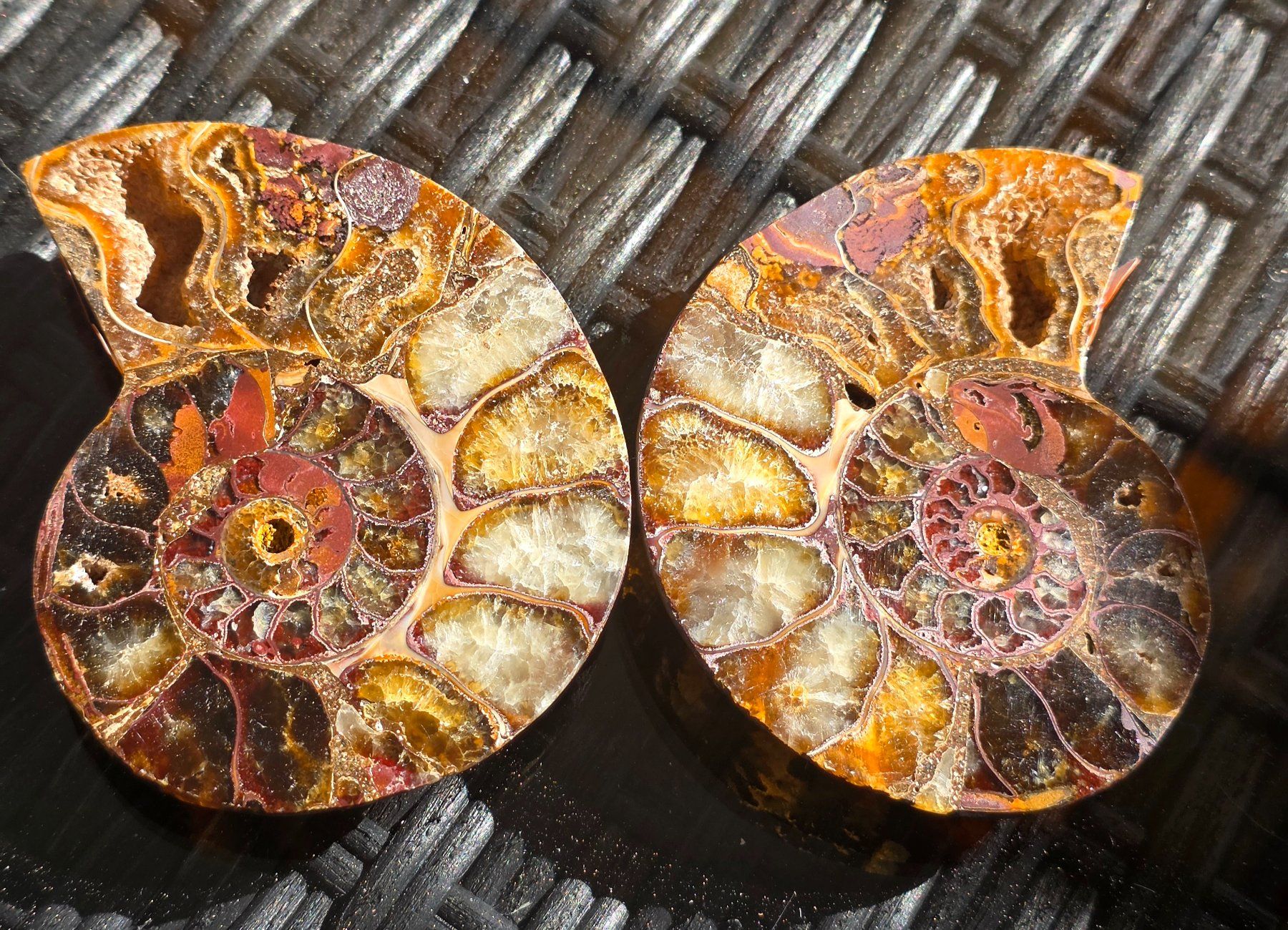 Fossili: Ammoniten Paar P9 127g – Nuovo e nell'imballaggio originale da Matzingen venduto da Shay_Crystalz