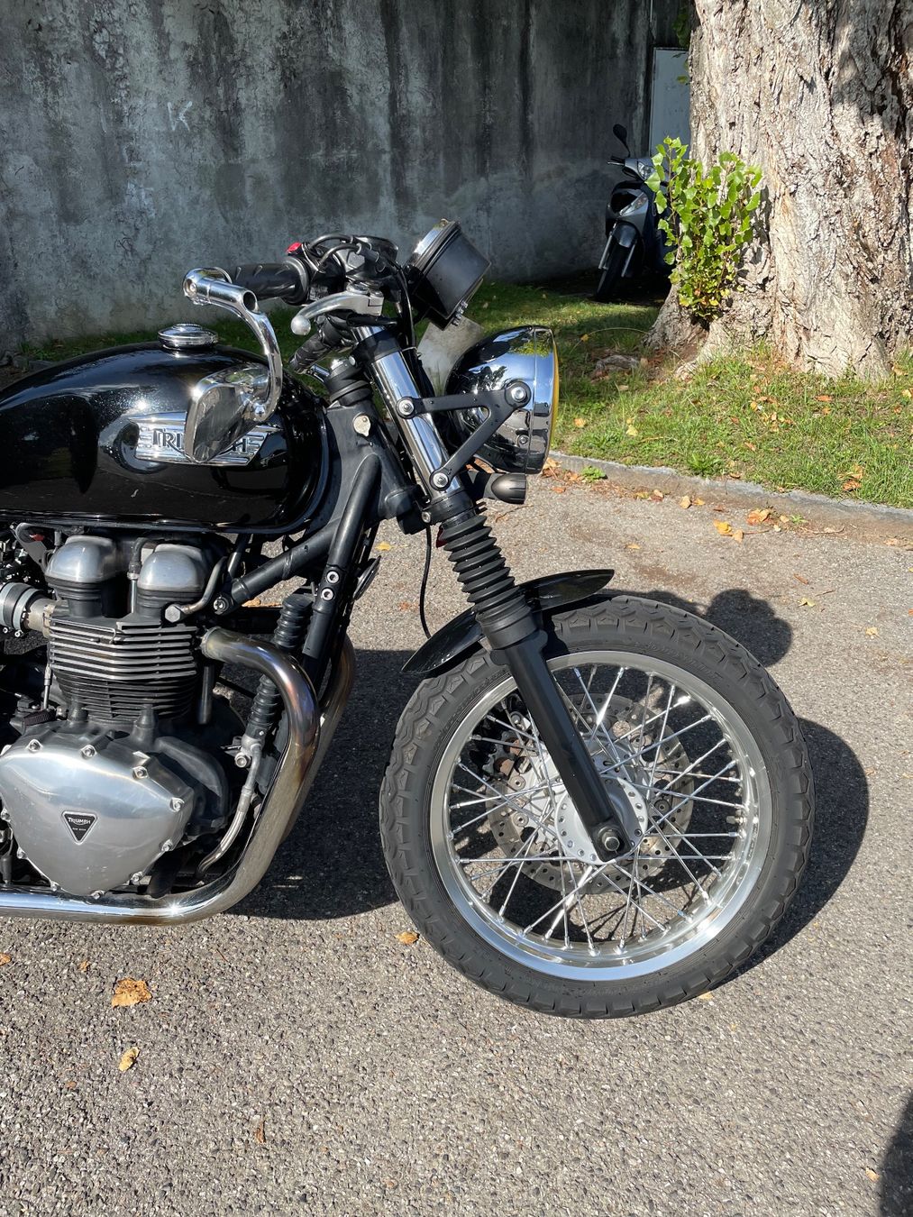 Triumph Route: Triumph Thruxton 900 – D'occasion à Perly par Eelmatto 8