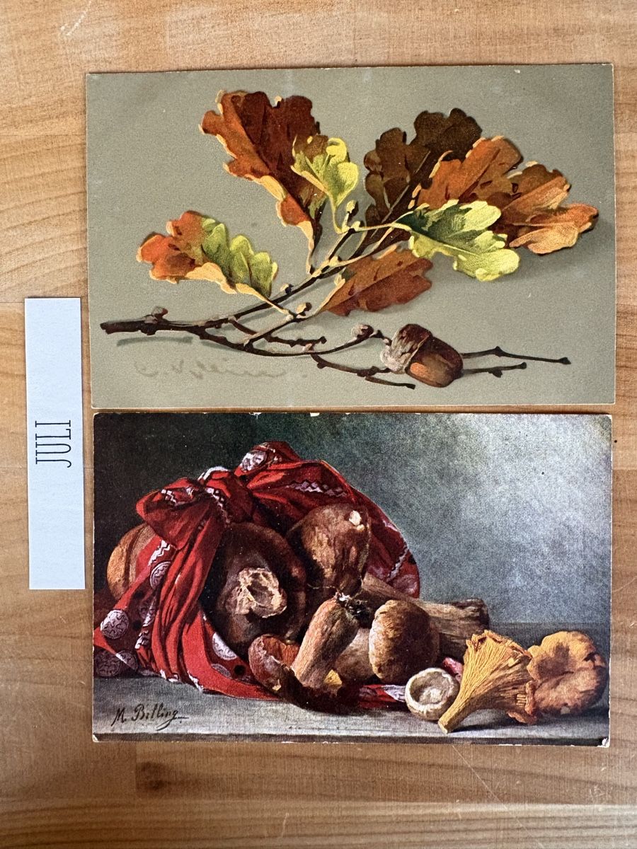 Ansichtskarten: AK mit Bilder von Pilze & Eichel – Gebraucht aus Rümlang von Kartenpost1