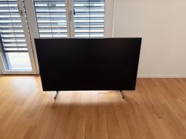 Samsung TV 55 Zoll - The Frame