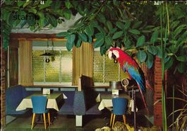 AK Studen_Café Florida_Tropenpflanzen- Minigolf und Camping
