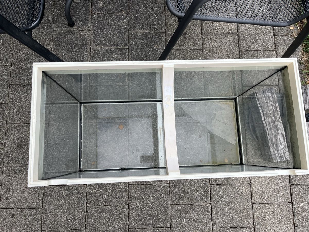 Terrarium: Terrarium Glas weiss 100cm – Gebraucht aus Tuggen von wir_pds8 1