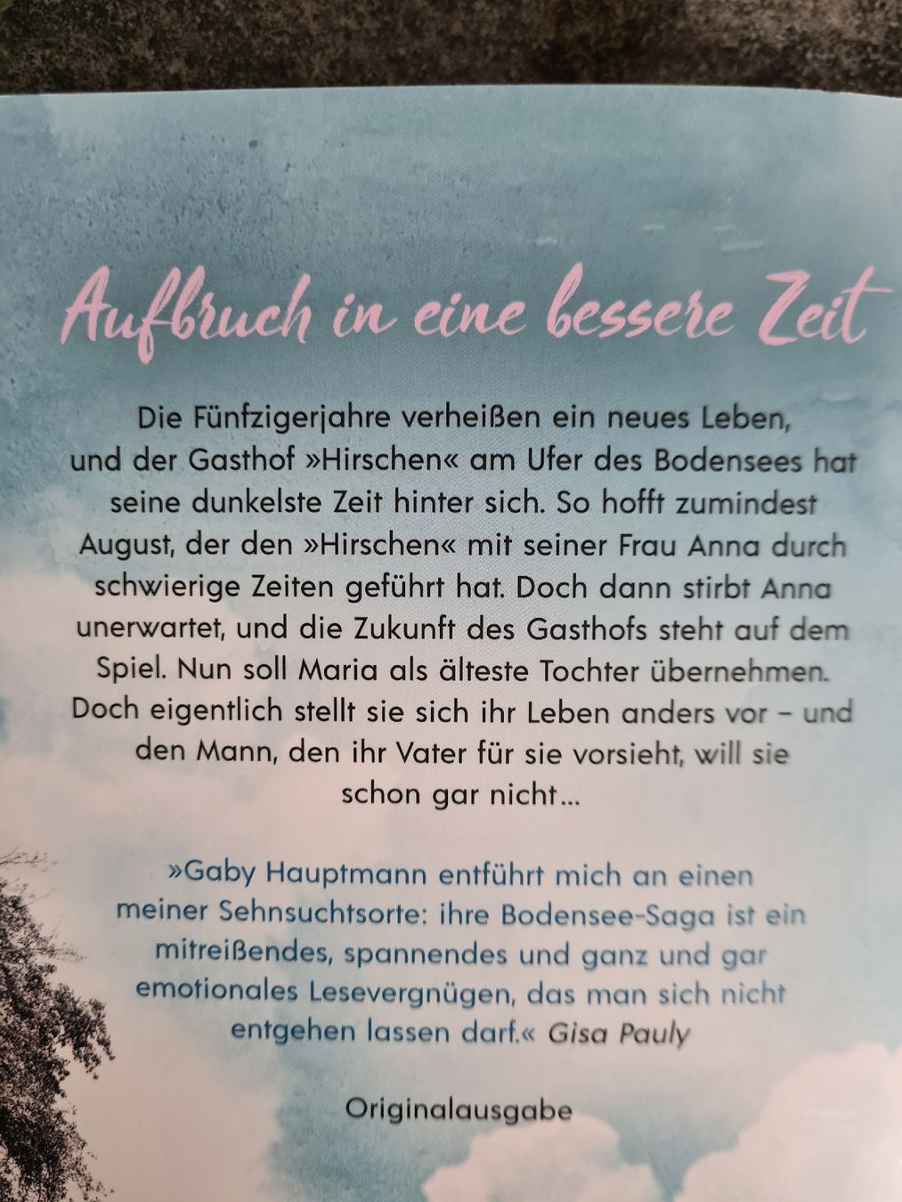 Libri: Die Frauen vom Bodensee – Nuovo (secondo la descrizione) da Klosters venduto da Riva123 2