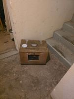 Transportbox
