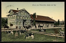 AK Rislen bei Wyl, Wiesenthal, Gasthaus mit weidenden Kühen