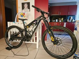 Thok TK01 Limited nur 35 St. Weltweit