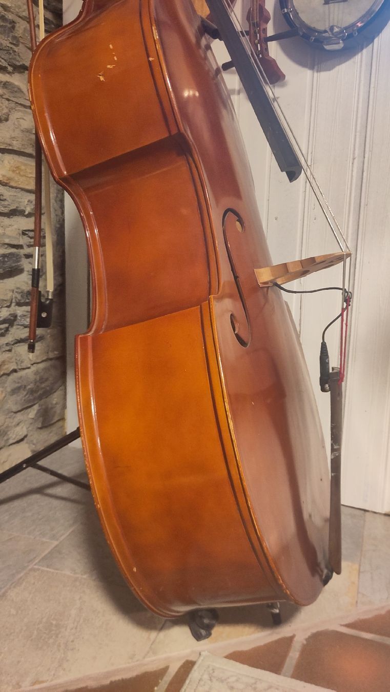 Musikinstrumente: 3/4 (standard) double bass and bow – Gebraucht aus Botyre (Ayent) von luc_pq28 2