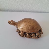 Feng Shui Schildkröte, Glücksbringer
