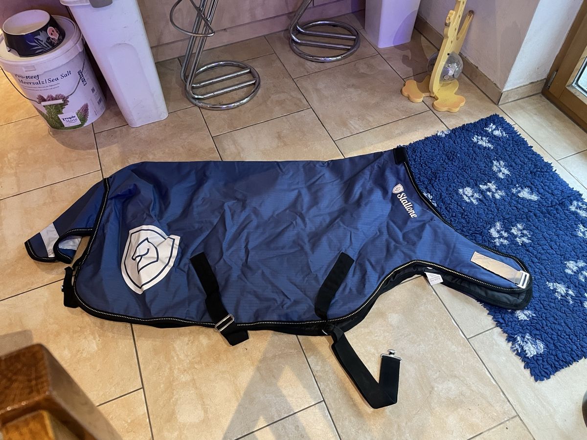 Selle & Accessori: Wintec whide 16 zoll – Nuovo (secondo la descrizione) da glattfelden venduto da lauffi1 9