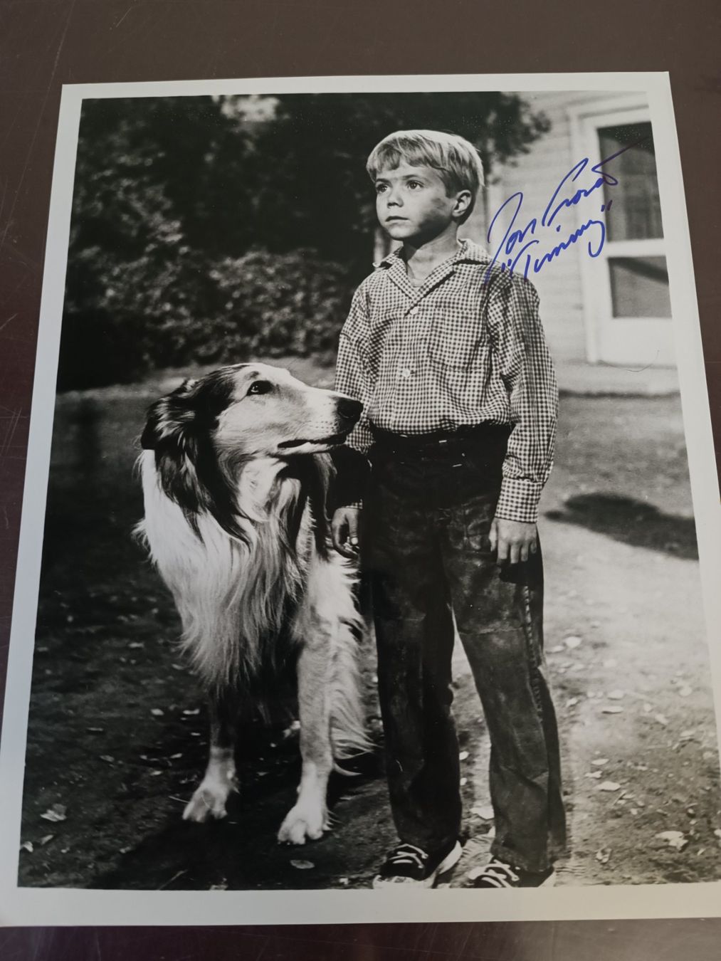 Autografi: Jon Provost -  20x25cm - Handsigniert – Usato da Menziken venduto da Artographs