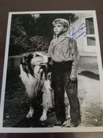 Jon Provost -  20x25cm - Handsigniert