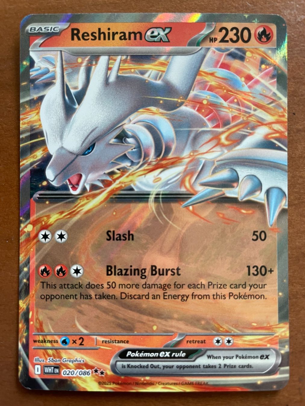 Pokémon Carte collezionabili: Pokemon Reshiram eX (Versand gratis) – Nuovo (secondo la descrizione) da Chur venduto da Angerson