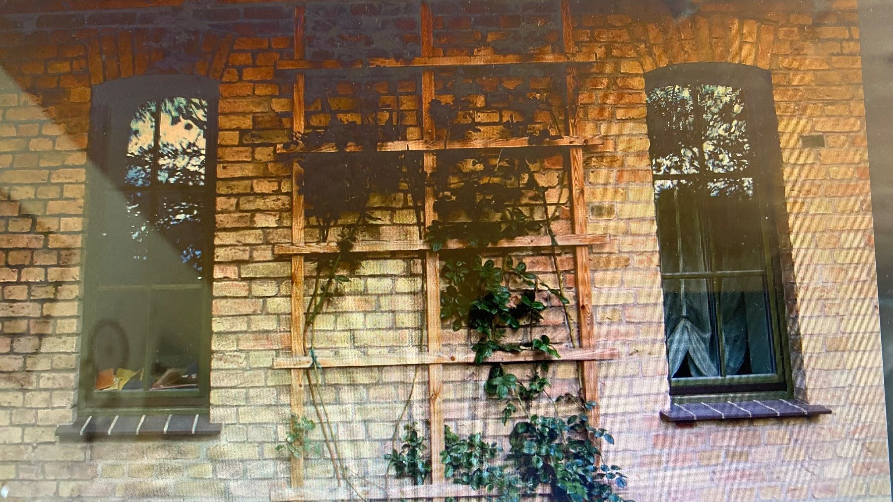 Articoli in legno: Alt Holz – Usato da Mels venduto da SuperMario1969 9