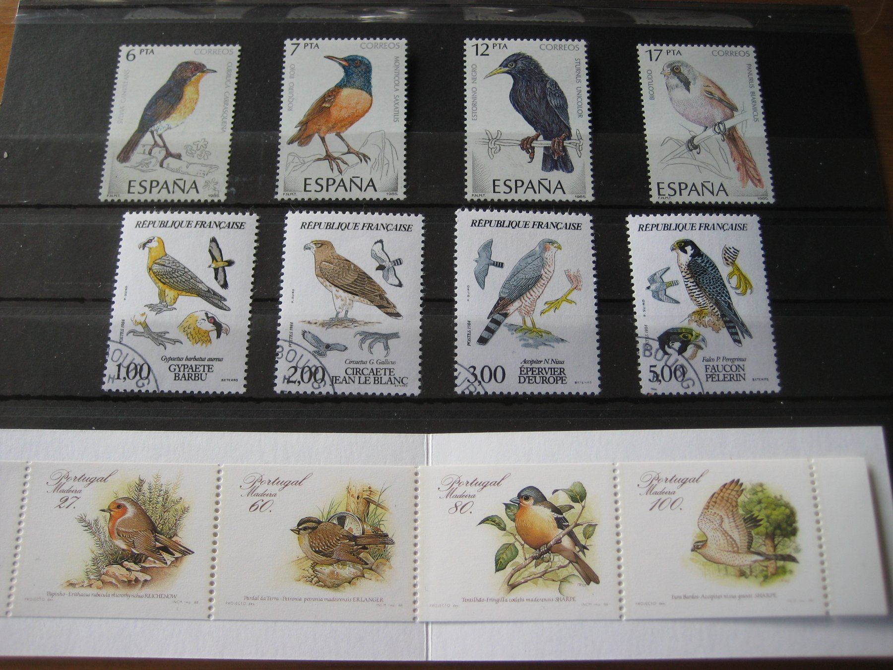 Tutti i francobolli: 3 schöne Briefmarken-Sätze "Vögel" – Nuovo (secondo la descrizione) da Spiegel b. Bern venduto da Ernesto27