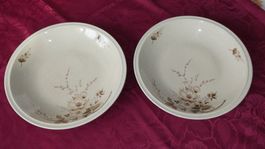 2 plats à légumes en porcelaine