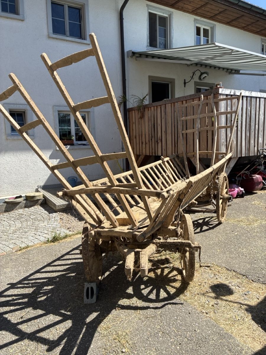 Remorques: Holzwagen – Défectueux à Bäretswil par gra_6mx2 1