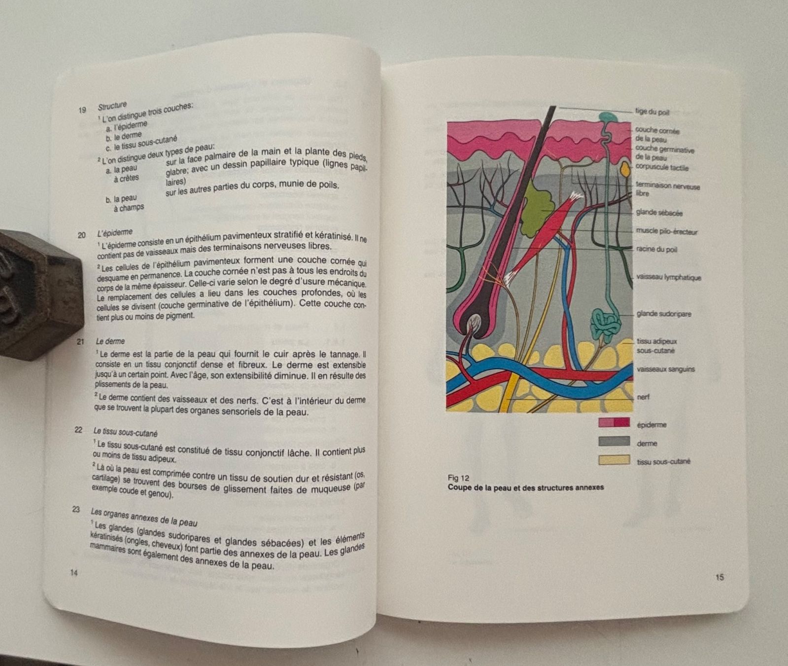 Libri: Armée Suisse - Instruction de base pour le service sanitaire – Usato da Neuchâtel venduto da gefdeneuch 6