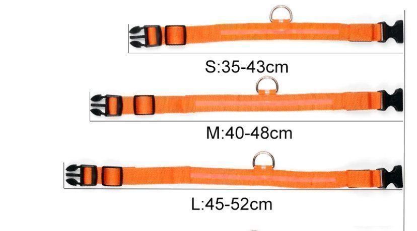 Leine & Halsband: Hunde LED Leuchthalsband – Neu und originalverpackt aus Meggen von Rbrett 1