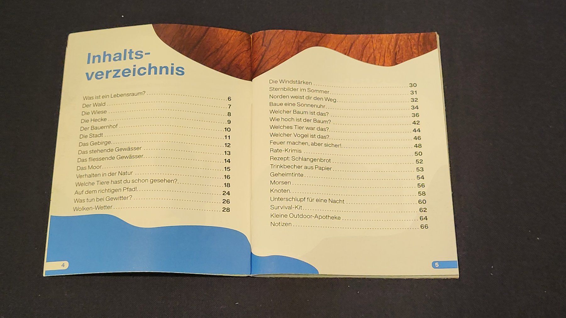Libri: Büchlein "Nature Detectives", unbenutzt – Usato da Uster venduto da gurust 2