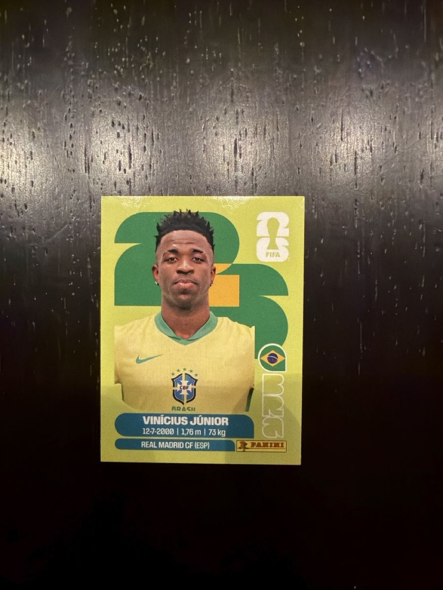 Panini Carte collezionabili: Panini Vinicius – Nuovo (secondo la descrizione) da St. Moritz venduto da Matt18ia
