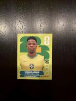 Panini Vinicius