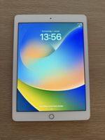 iPad Pro (9.7 Zoll)