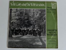 Weil Gott schuf die Welt so schön. Lobpreislieder auf Gott