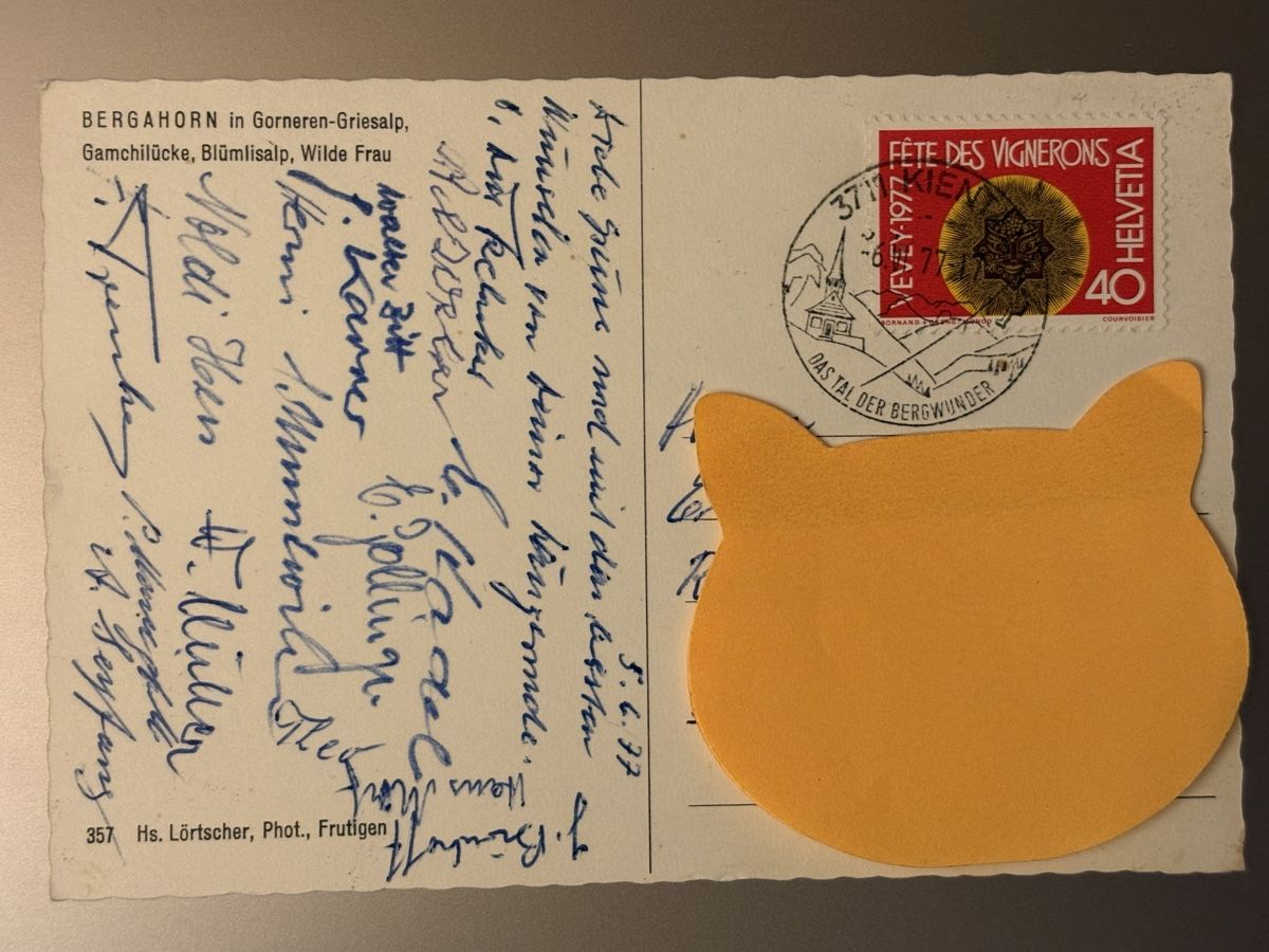 Cartoline postali: AK von Bergahorn – Usato da Rümlang venduto da Kartenpost1 1