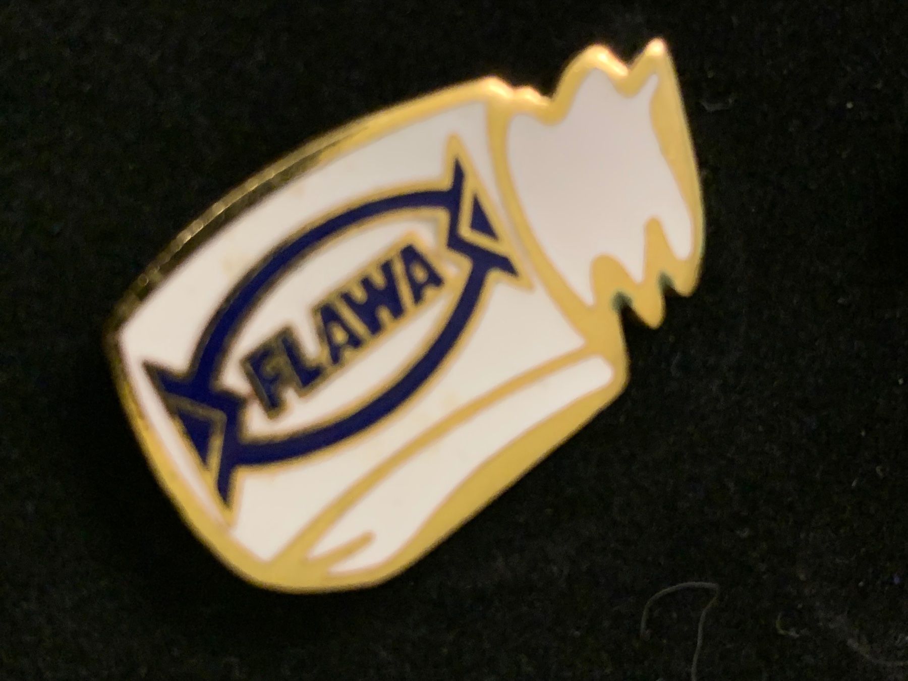 Placchette & Badge: Pin Flawa – Nuovo (secondo la descrizione) da Oberweningen venduto da Jogi2