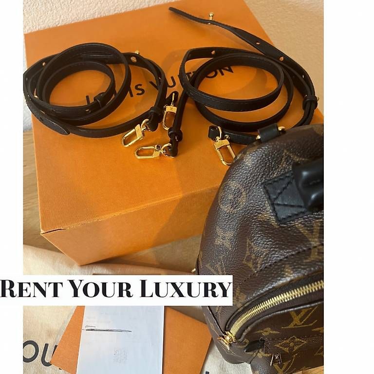 Louis Vuitton Zaini: Louis Vuitton Palm Spring mini – Usato da Balzers venduto da mc-mary 4