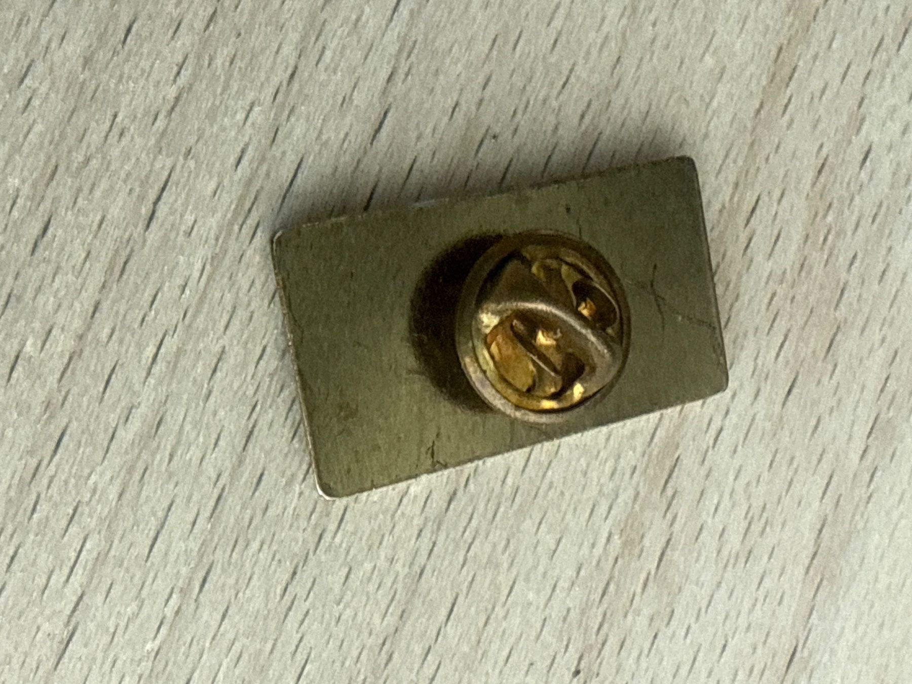 Placchette & Badge: Pin Reisebus – Usato da Glattbrugg venduto da Schweigmatt 1