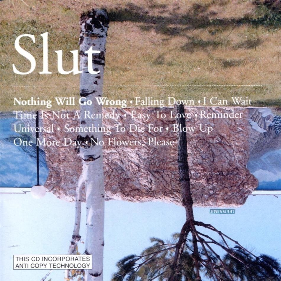CD: Slut - Nothing Will Go Wrong – Usato da Uzwil venduto da visions77