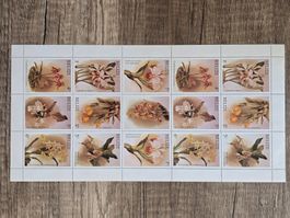 BELIZE Orchids 1987 /1988 Block Orchideen Blumen **