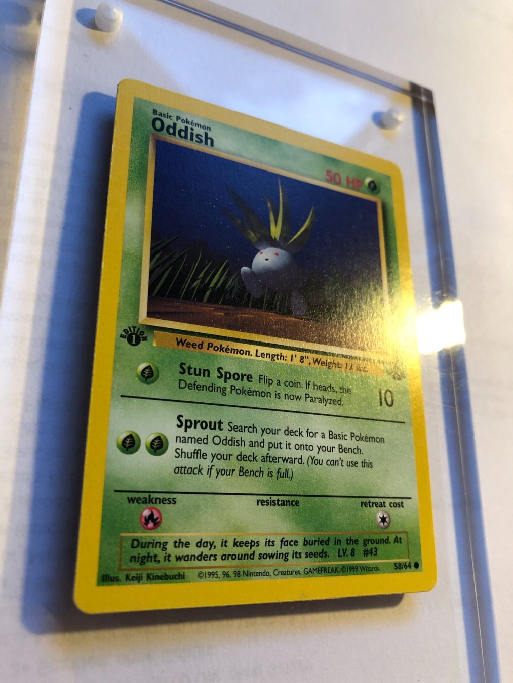 Sammelbilder & Trading cards: Oddish 1st Jungle - LP/NM - ab 1.- – Gebraucht aus Giubiasco von dan_pr8b 1