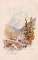 Wetterhorn N°50