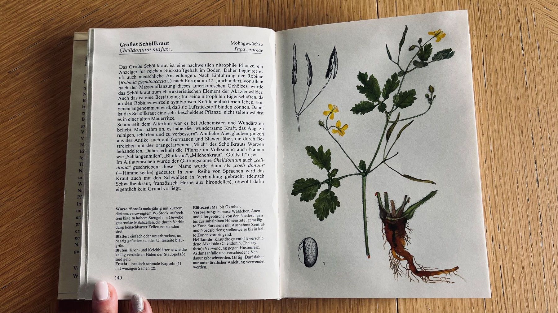 Libri: Pflanzenbuch: Wald und Flur entdecken , 1980 – Usato da Schübelbach venduto da Bemafaja 6