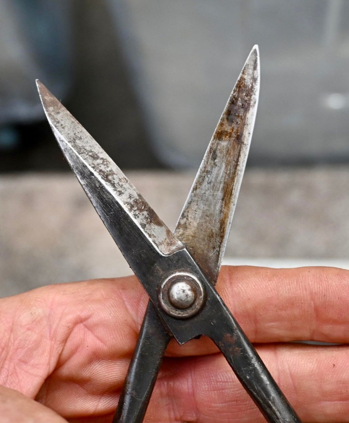 Tous les outils: antike Werkstattschere Länge 21cm – D'occasion à Pfaffhausen par mono_rec 3