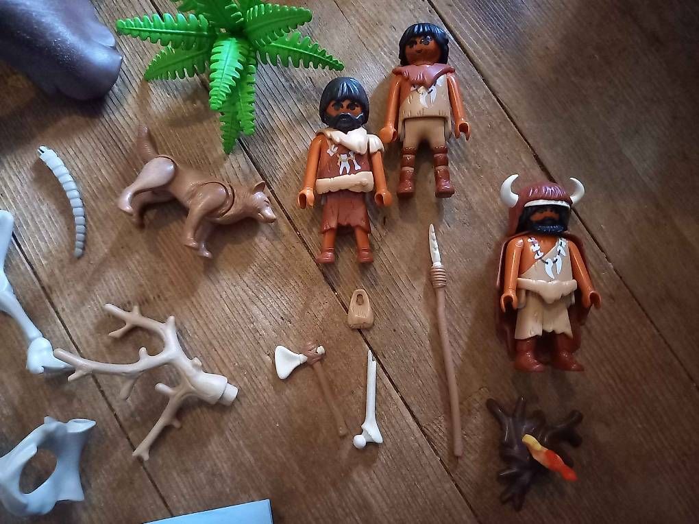 Giocattoli: Playmobil Steinzeit Set – Usato da Alchenstorf venduto da jae_8glt 1