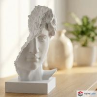 David Ruined Bust - Artistic Fractured Sculpture - 3D Print