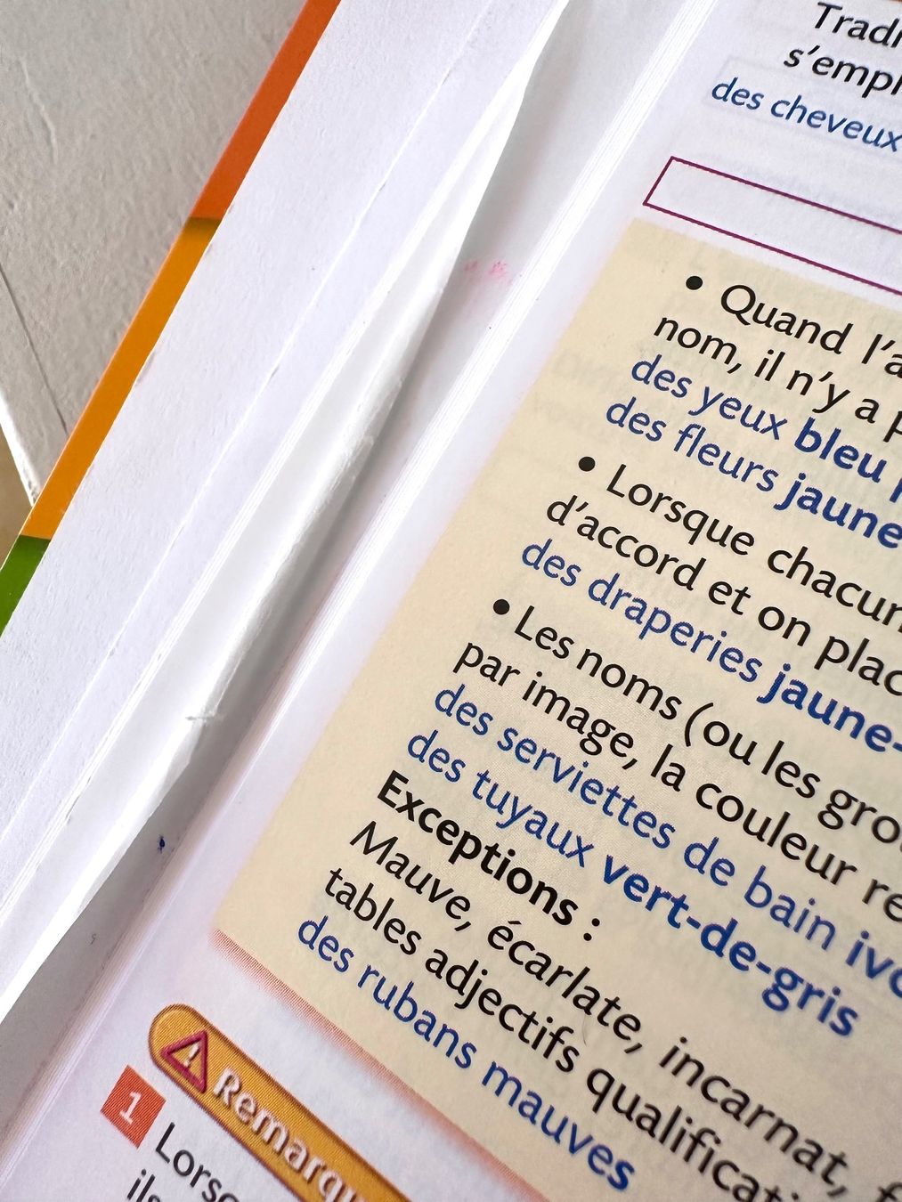 Libri: 🟢 Le Bled tout-en-un / hachette – Usato da Fribourg venduto da Meta26 3