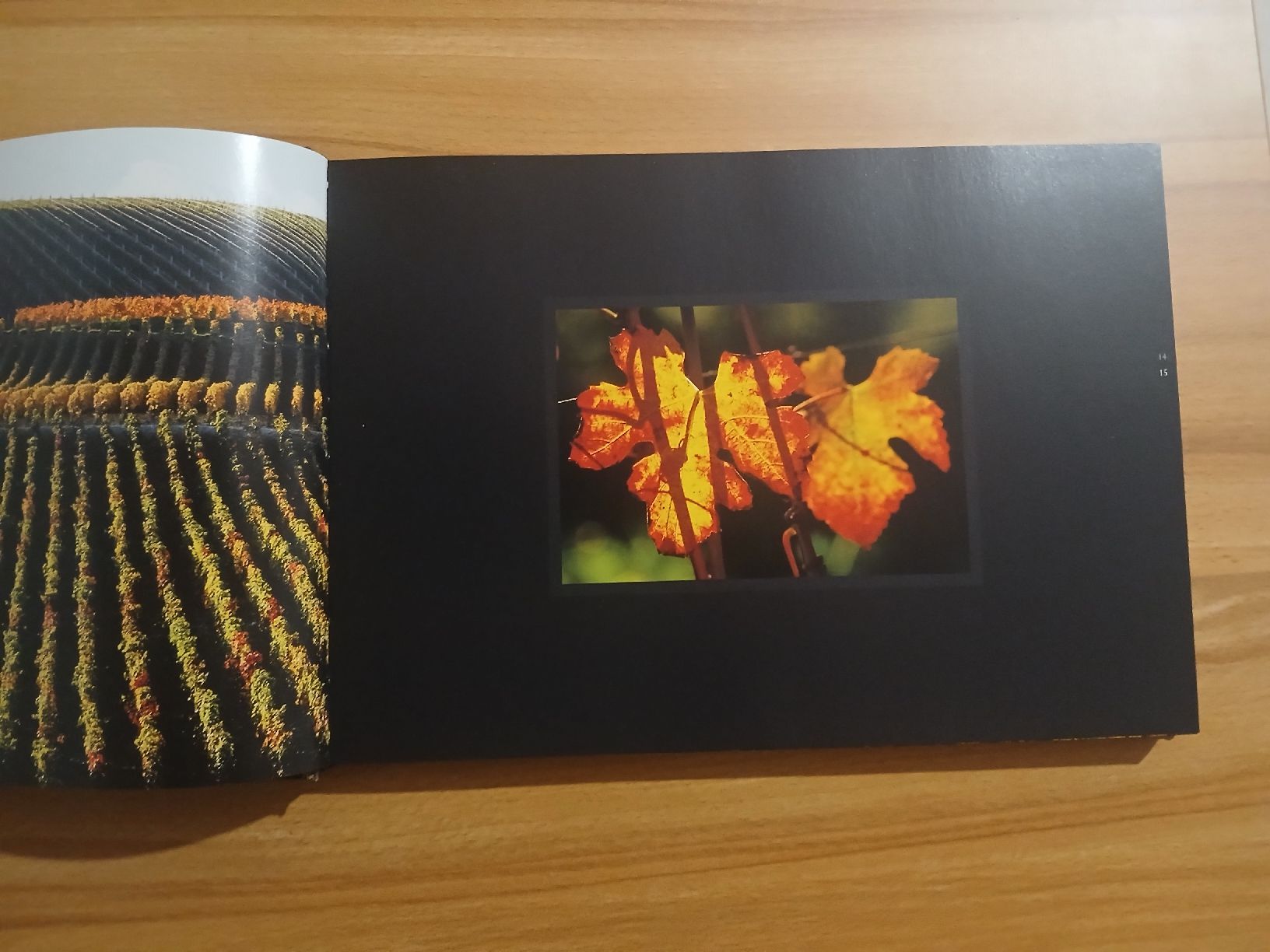 Libri: Vignobles Suisses – Usato da Le Sentier venduto da arc_2thy 3