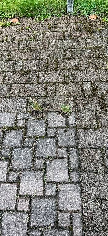 Pietre & tegole: Verbundsteine – Usato da Härkingen venduto da J.Walchs 3