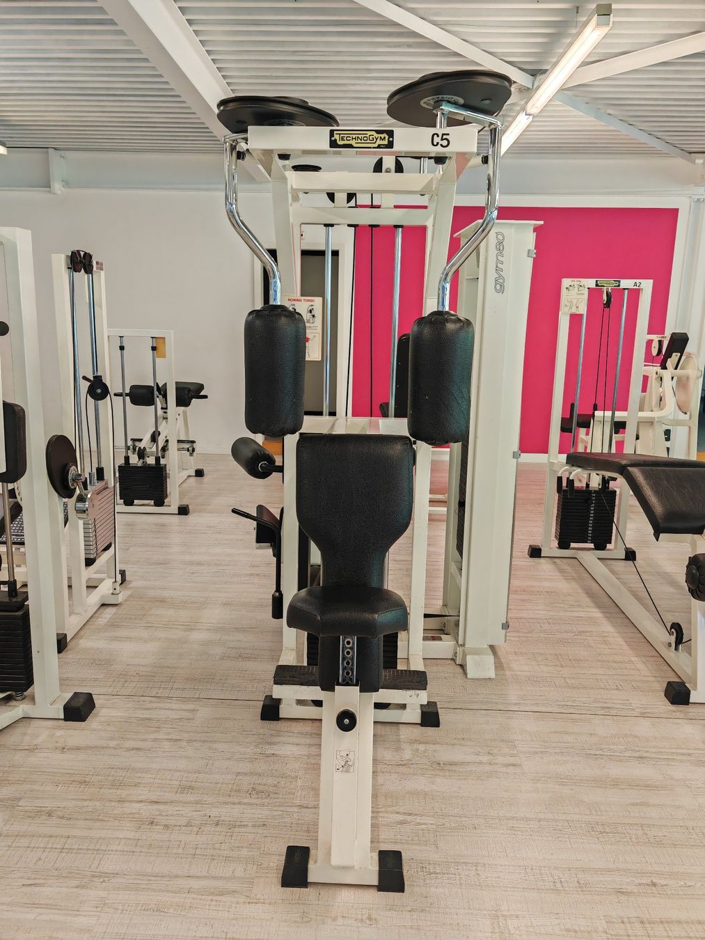 Technogym Hometrainer: Technogym Rowing Torso – Usato da Bern venduto da Sudowudo