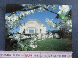 DORNACH SO AK GOETHEANUM IM FRÜHLING