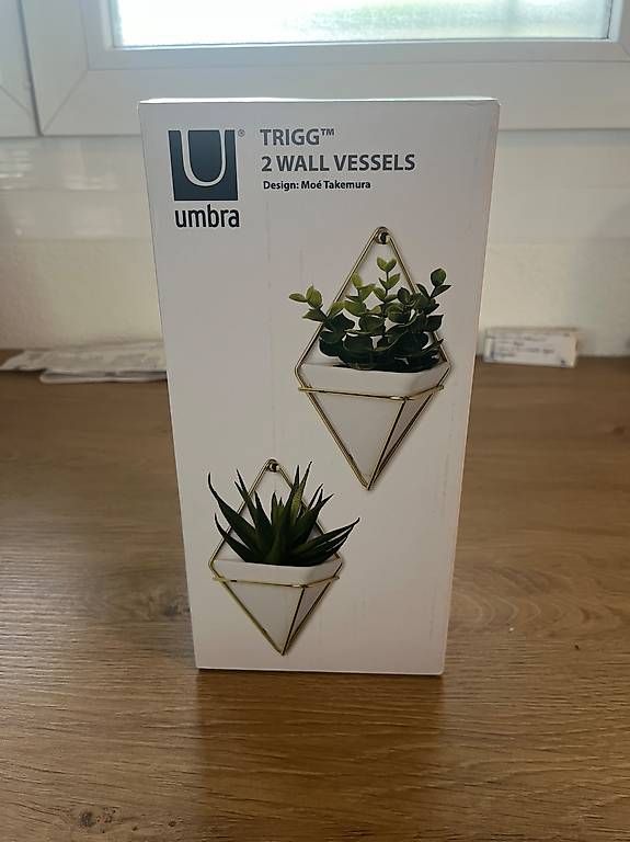 Vasi & Recipienti: Umbra Trigg Wandvase neu – Usato da Olten venduto da fel_s6nl