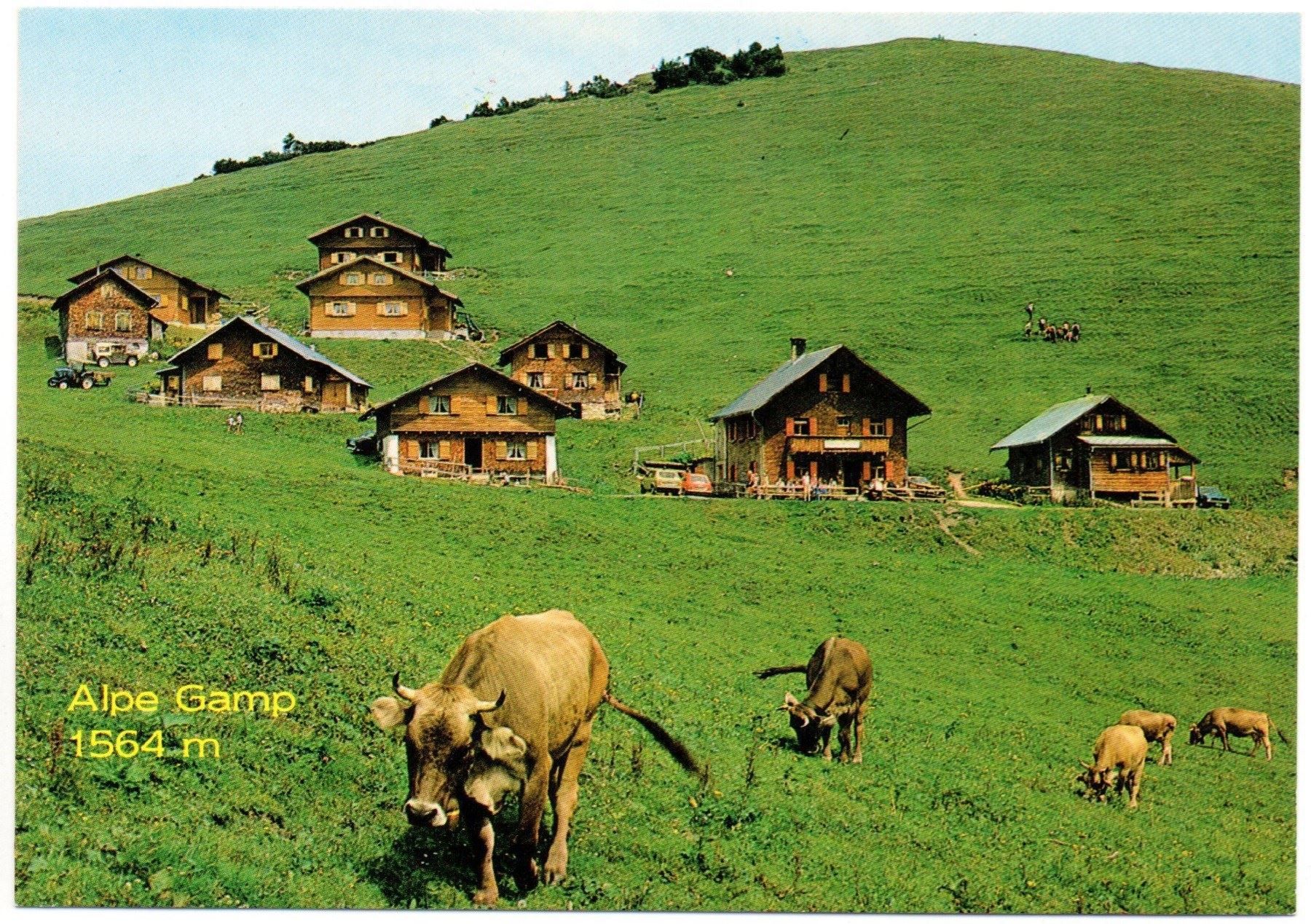 Cartoline postali: ALPE GAMP, belebt, Auto, Traktor, Kühe – Nuovo (secondo la descrizione) da Jona venduto da philajona