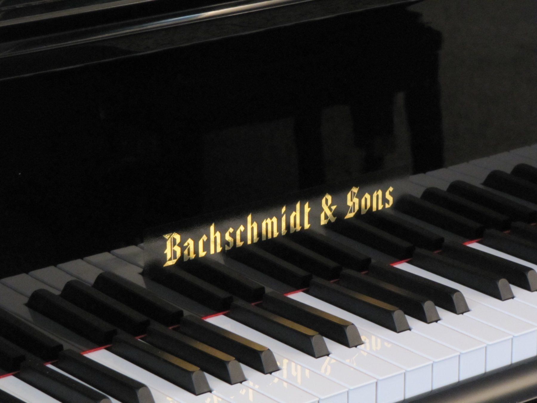Strumenti musicali: Bachschmidt & Sons 160-Silent, Revidiert – Usato da Bern venduto da Heutschipiano 1